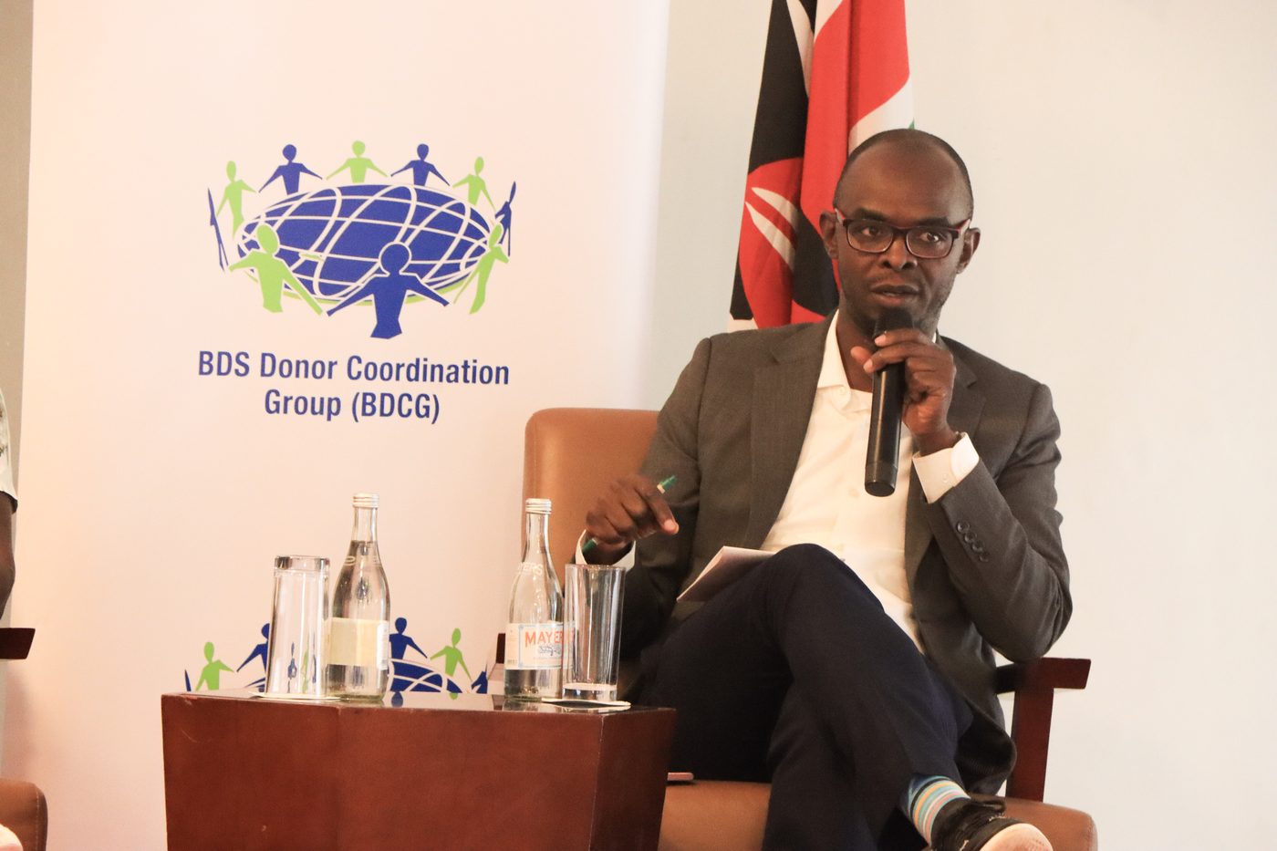BDCG Secretariat coordinator speaking at a conference panel